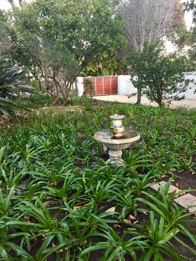 Acorn cottage Hermanus Exteriör bild